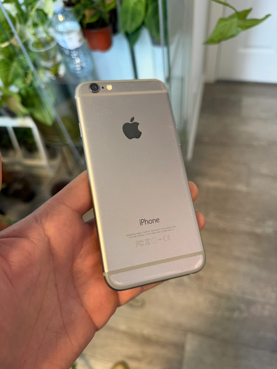 iPhone 6