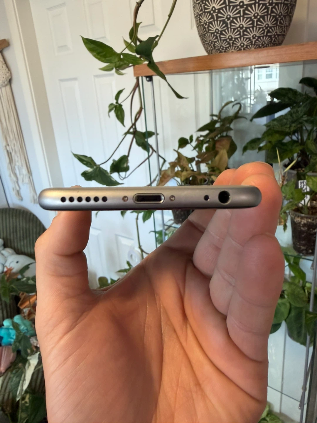 iPhone 6 - photo 3