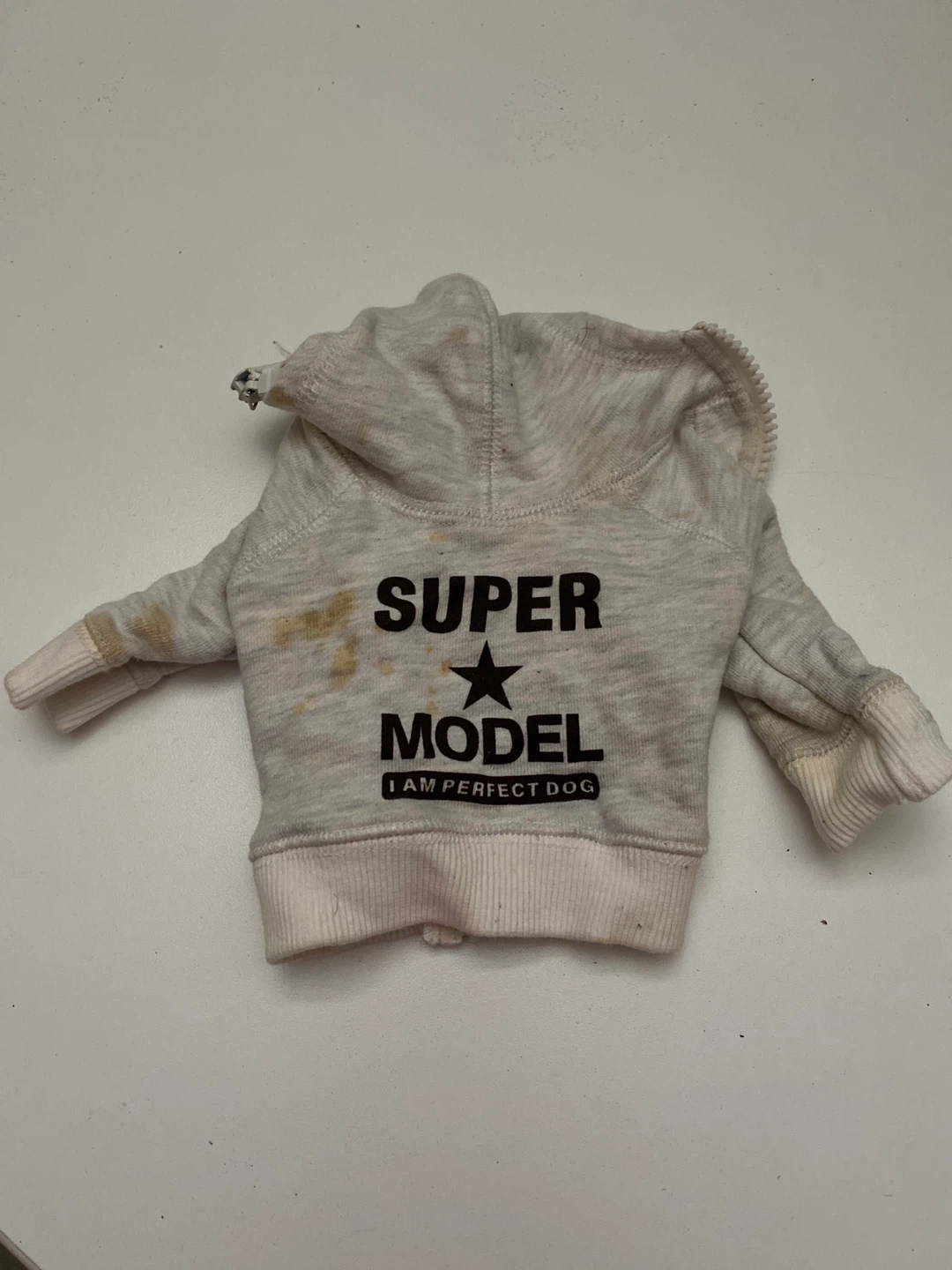 Grey "Super Model I Am Perfect Dog" Hoodie