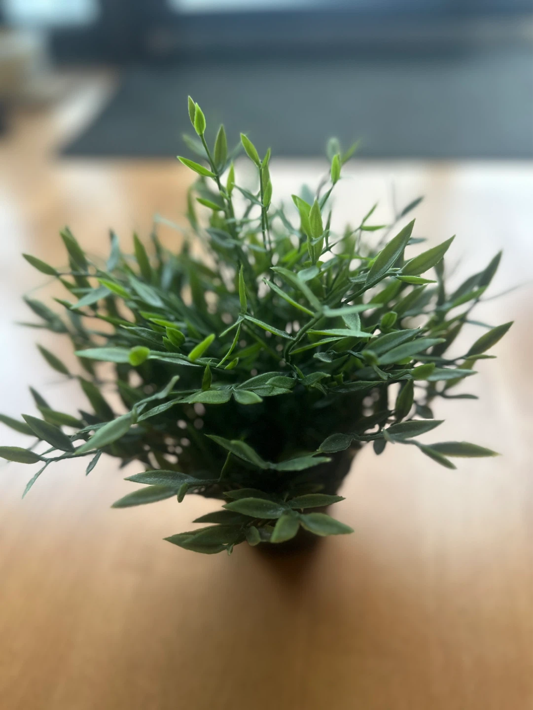 Artificial Green Plant in Black Pot