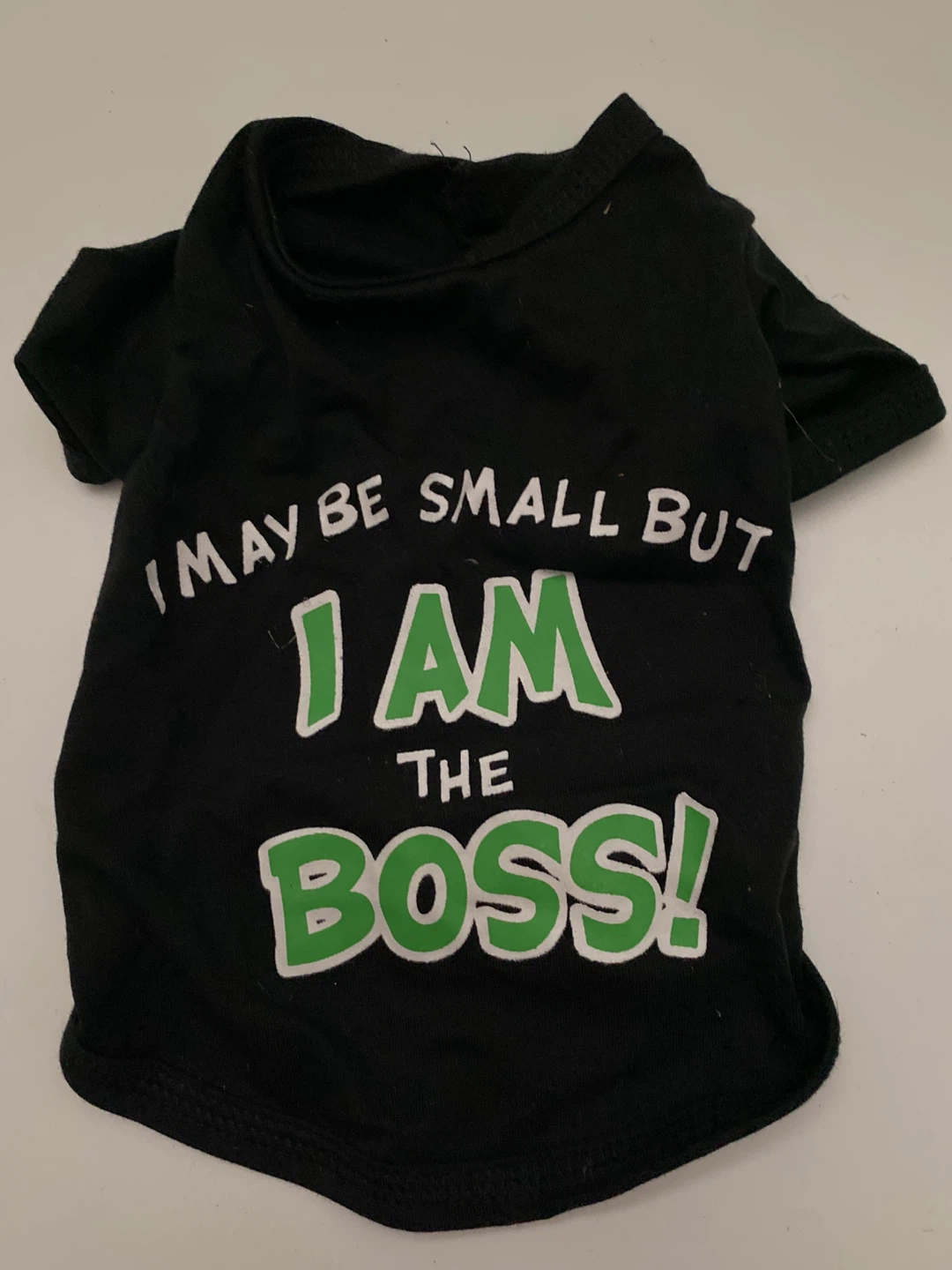 Black Dog Shirt "I May Be Small But I Am The Boss!"
