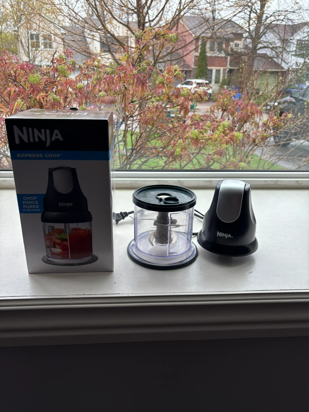 Ninja Express Chop Food Processor
