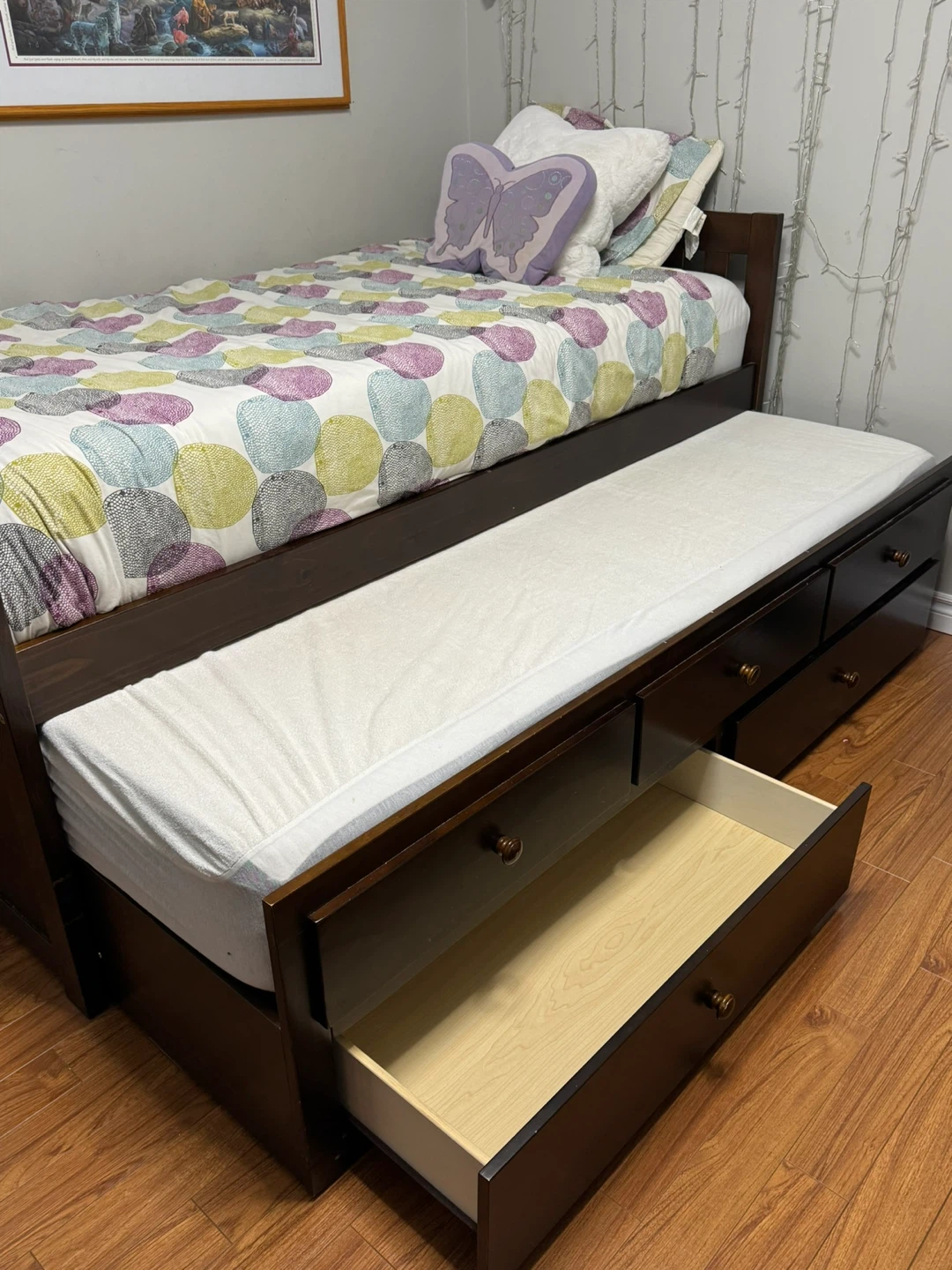 Dark Wood Twin Bed with Drawers and Trundle