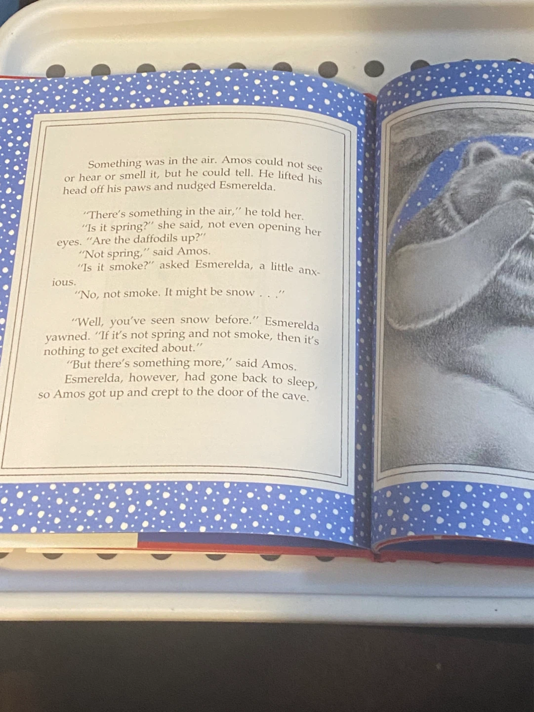 Old Sadie and the Christmas Bear Children's Book - photo 3