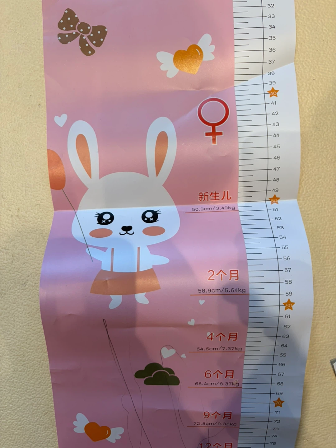 Baby Height Chart Growth Ruler - Pink Bunny Design