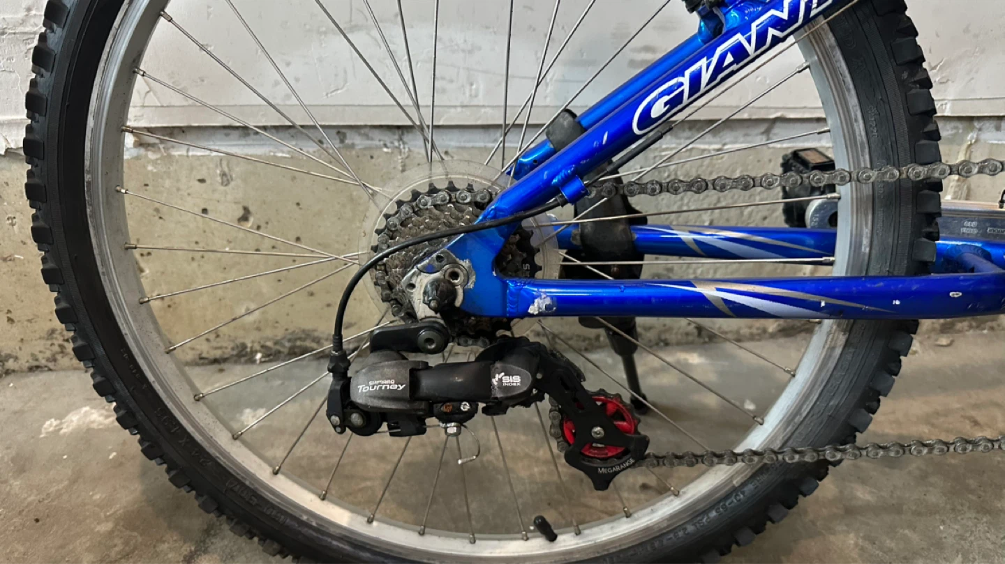 24” Giant Mountain Bike - photo 2