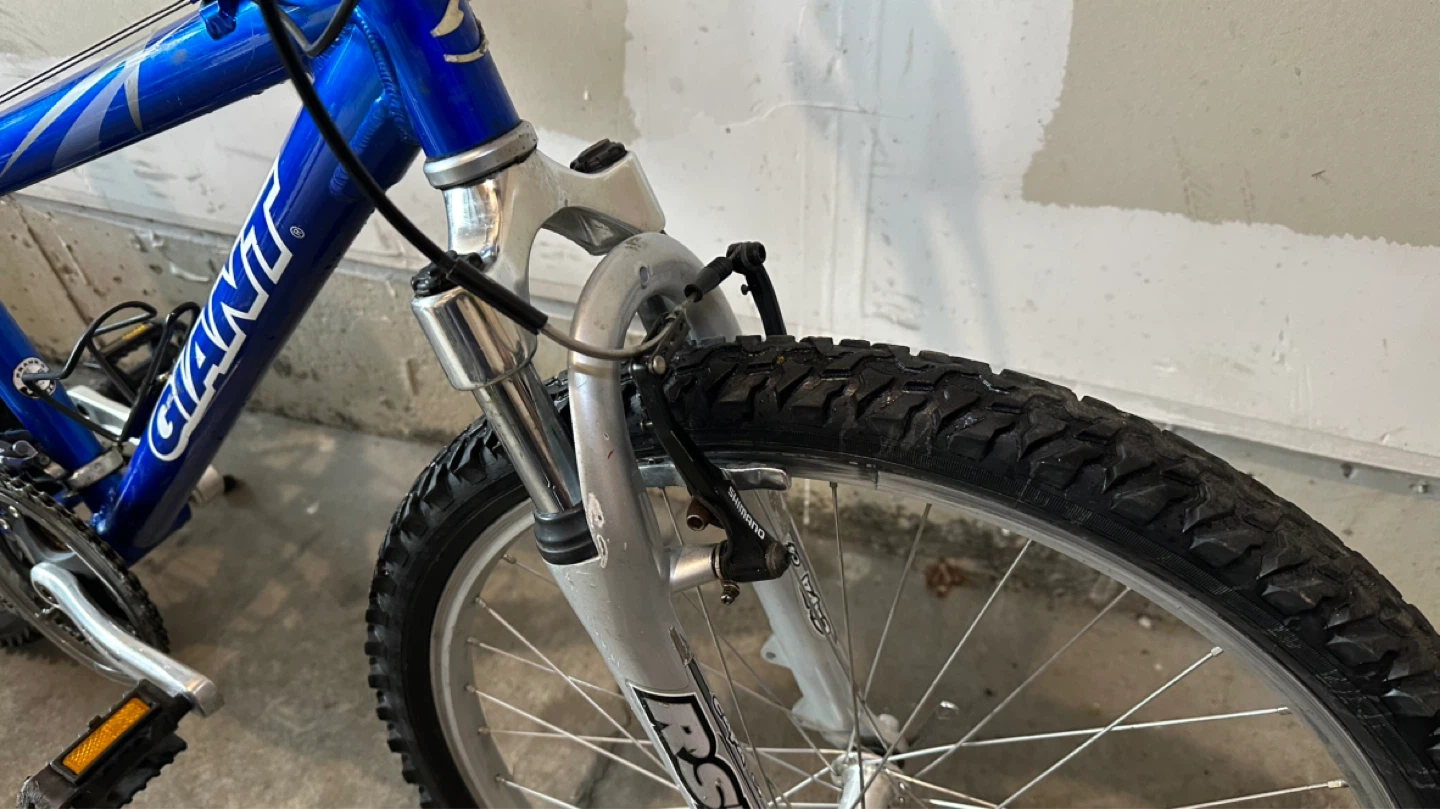 24” Giant Mountain Bike - photo 4