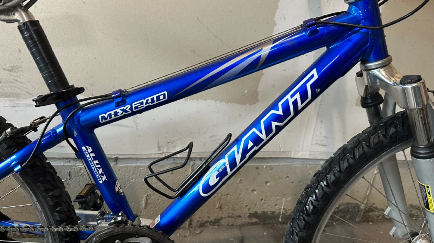 24” Giant Mountain Bike - photo 3