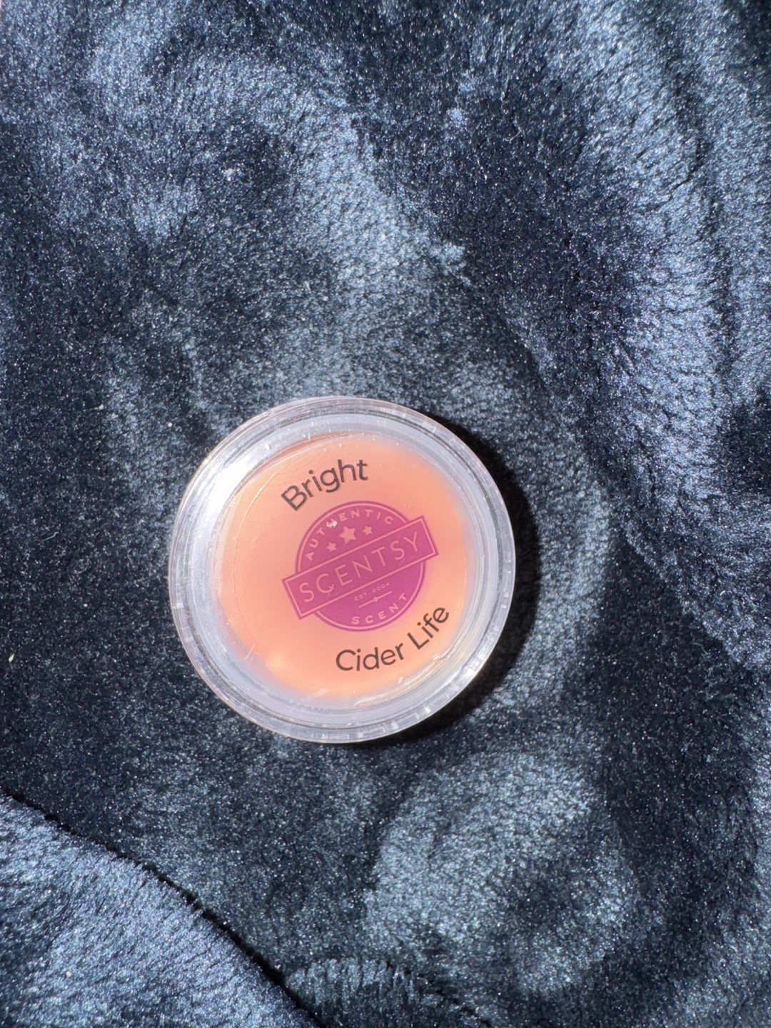 Scentsy Bright Cider Life lip gloss