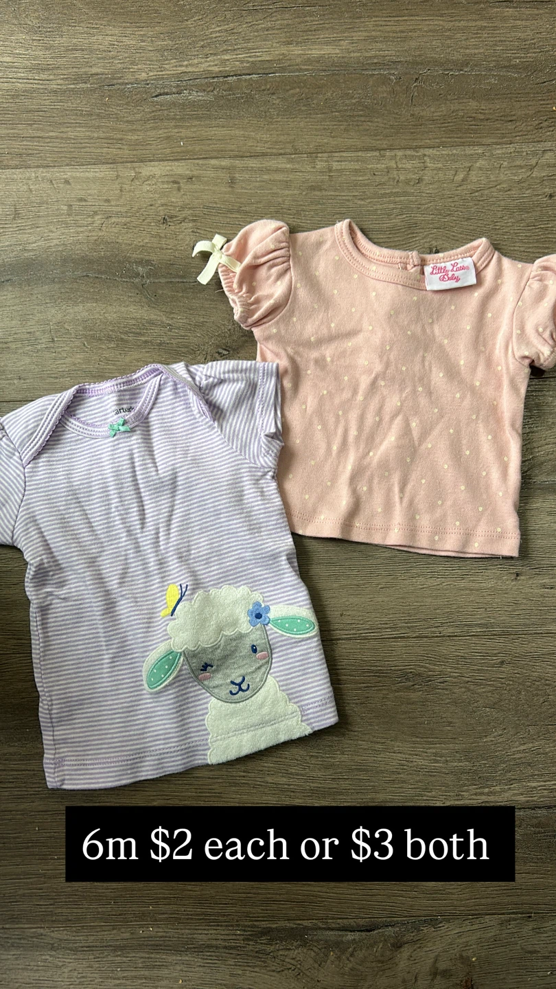 Baby 3/6m Girl Clothes Bundle - Onesies, Tops, Pants, Hoodies