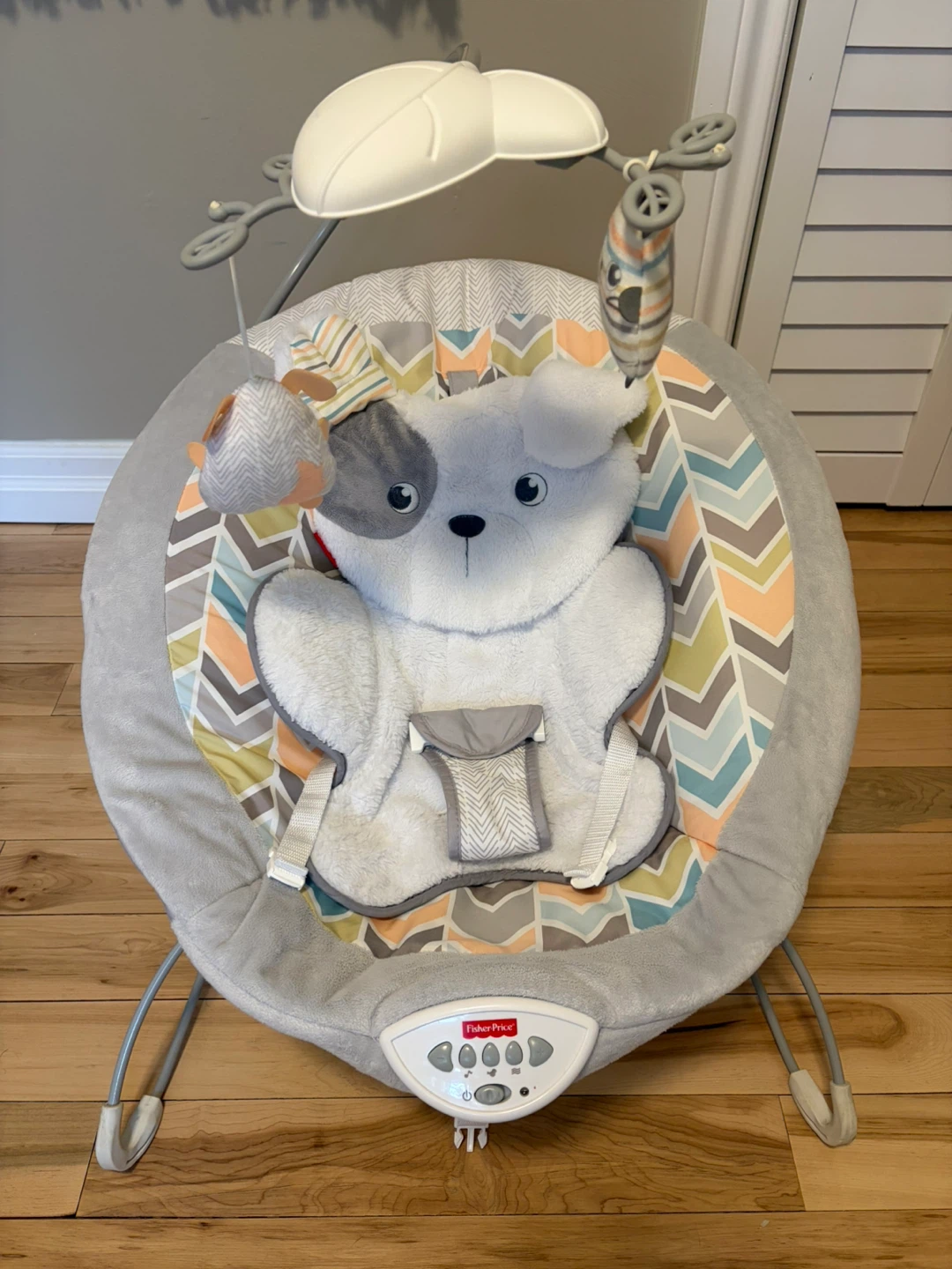 Fisher-Price Puppy Bouncer