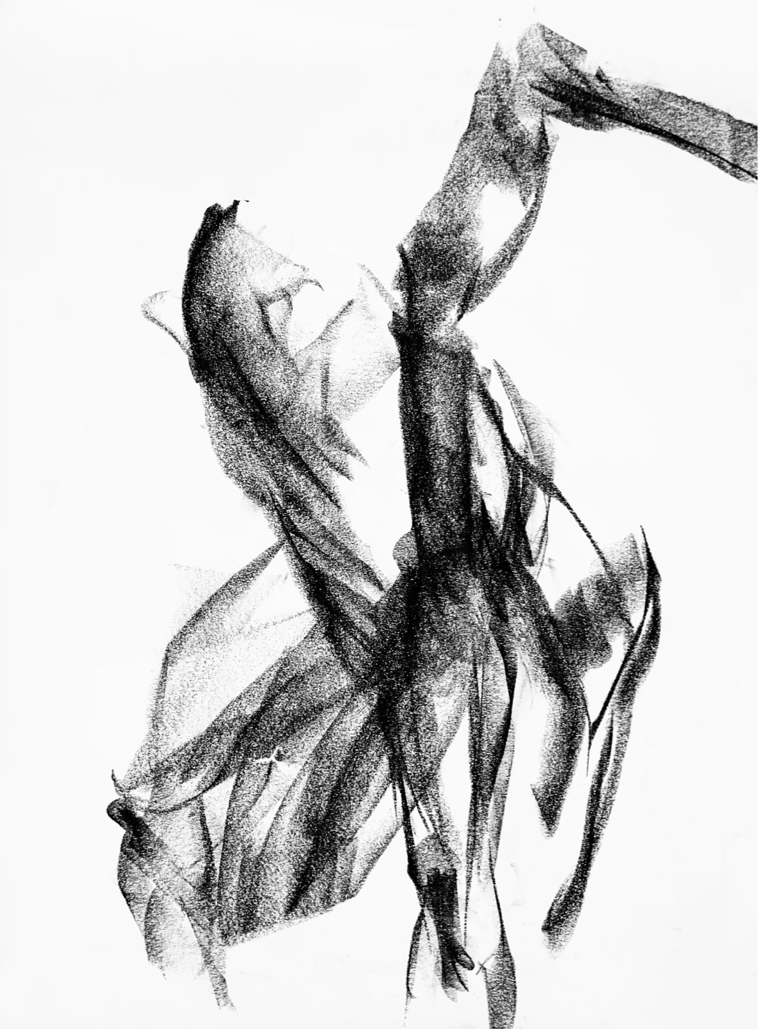 Female Figure Study - Original Charcoal Drawing - 18x24 - photo 2