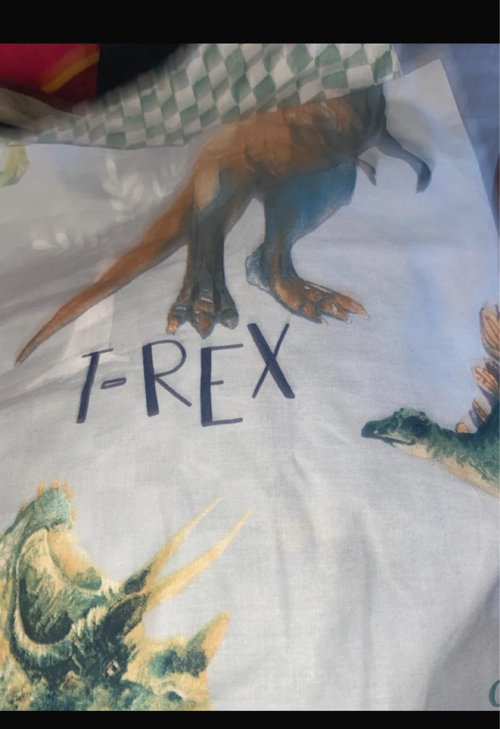 Dinosaur Print Pillowcase - T-Rex Triceratops - photo 5