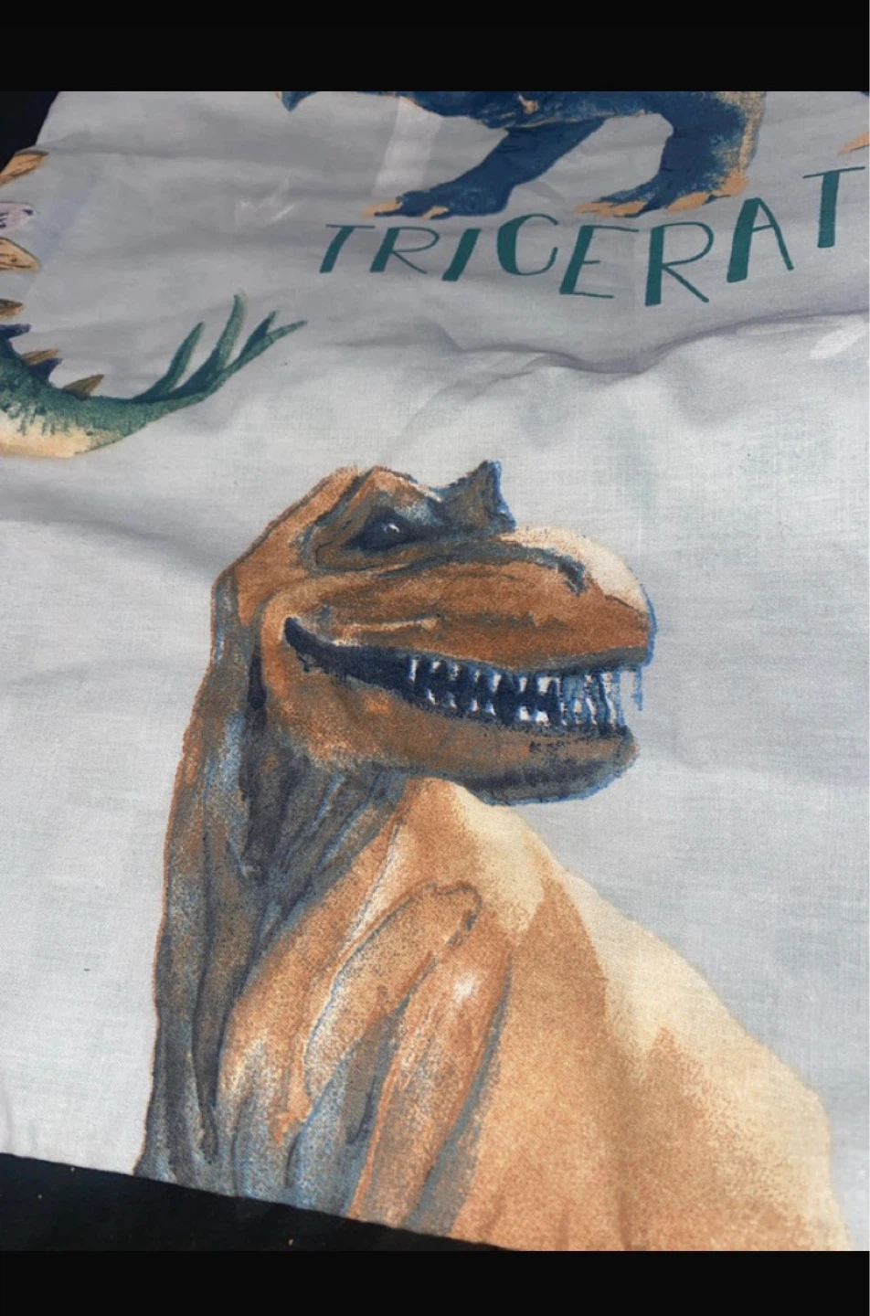 Dinosaur Print Pillowcase - T-Rex Triceratops - photo 3