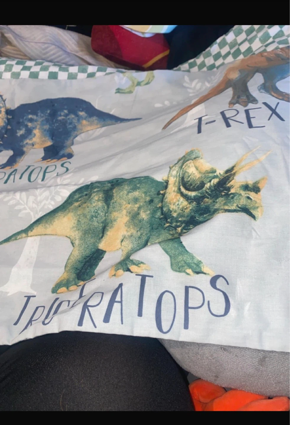 Dinosaur Print Pillowcase - T-Rex Triceratops - photo 2