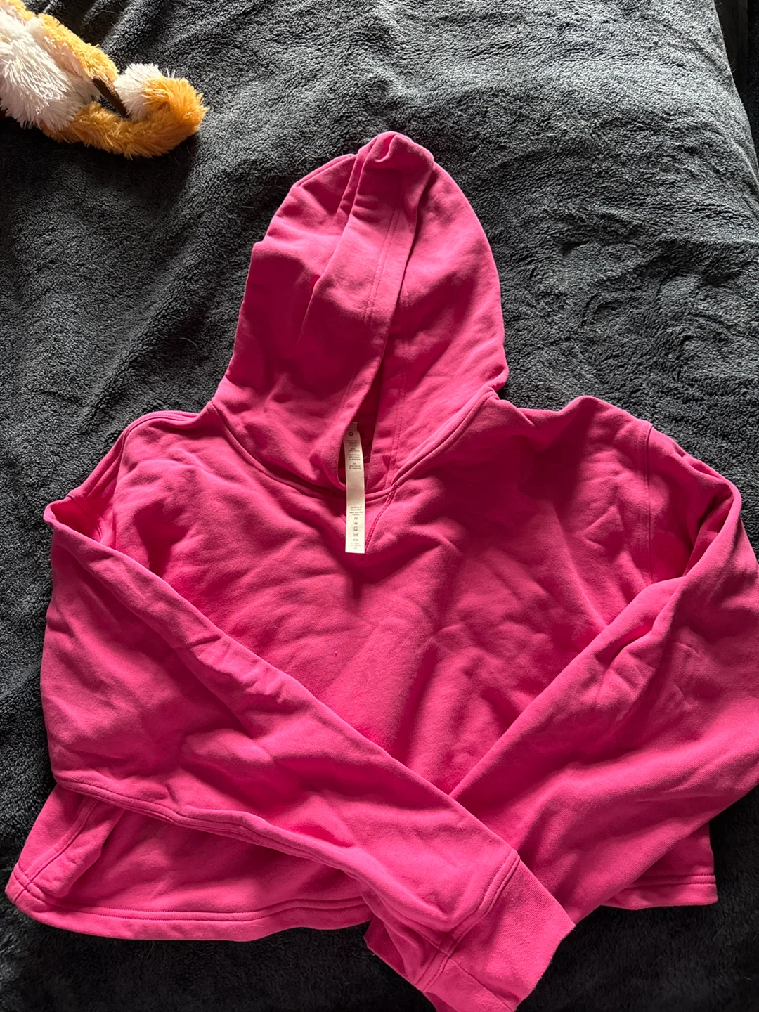 Lululemon Align Cropped Hoodie