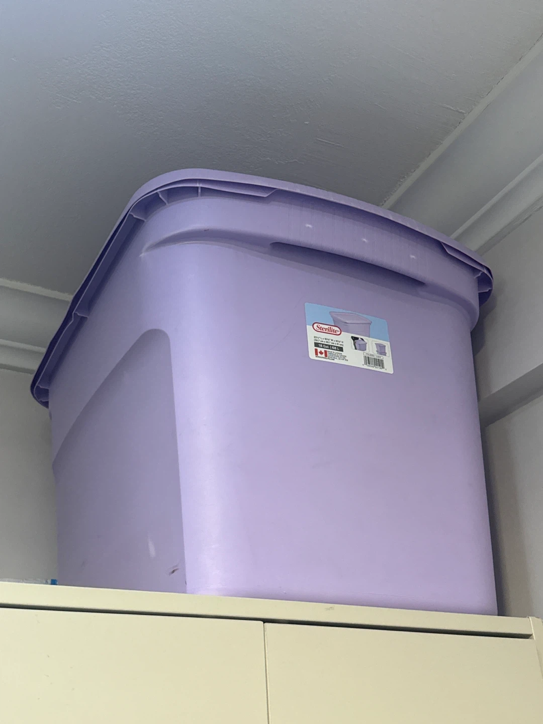 Sterilite Storage Bin