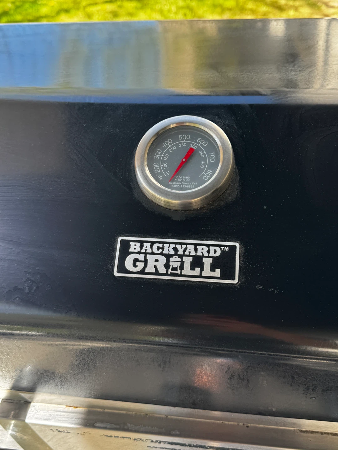 Backyard Grill BBQ