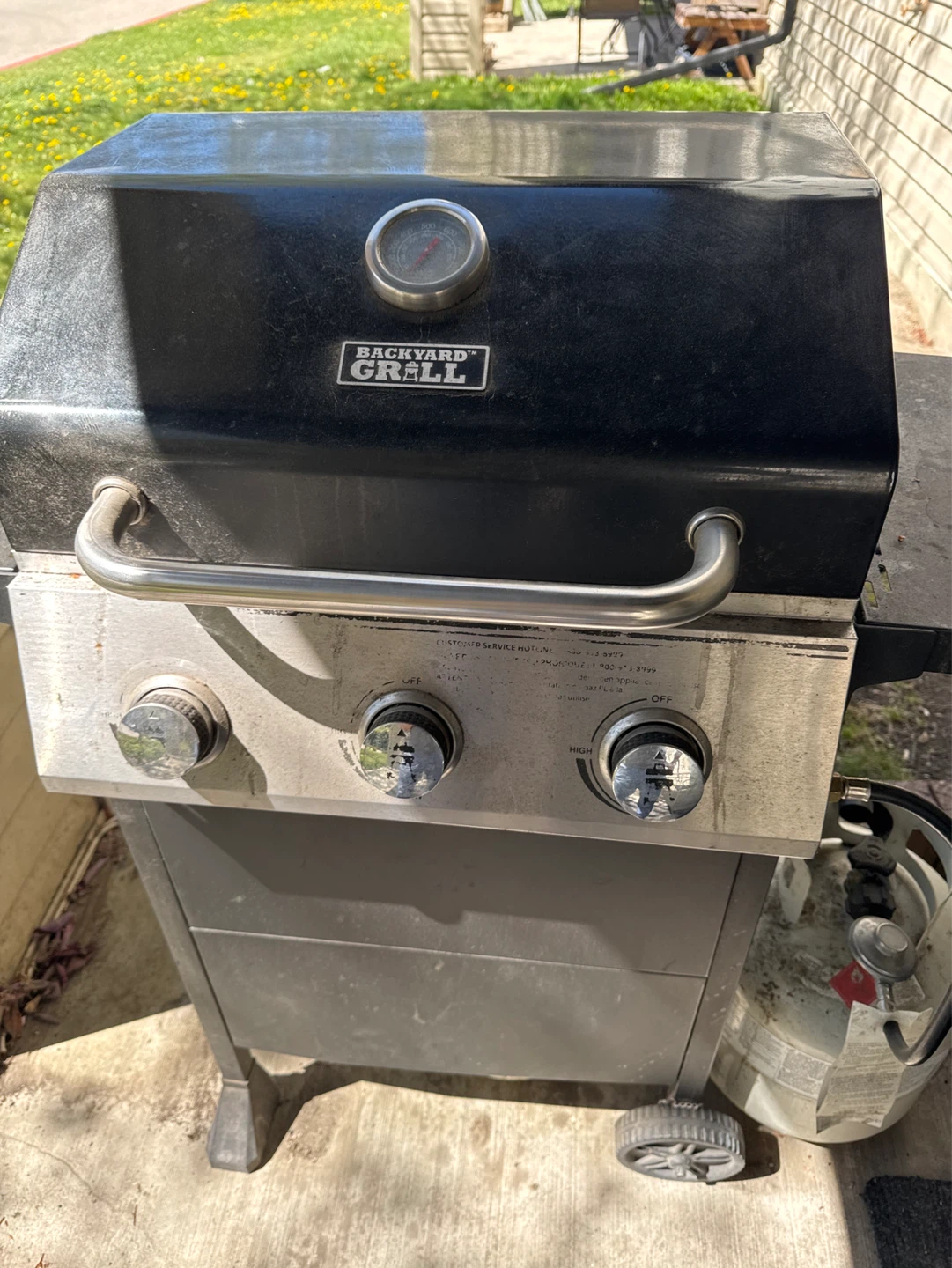 Backyard Grill BBQ - photo 2