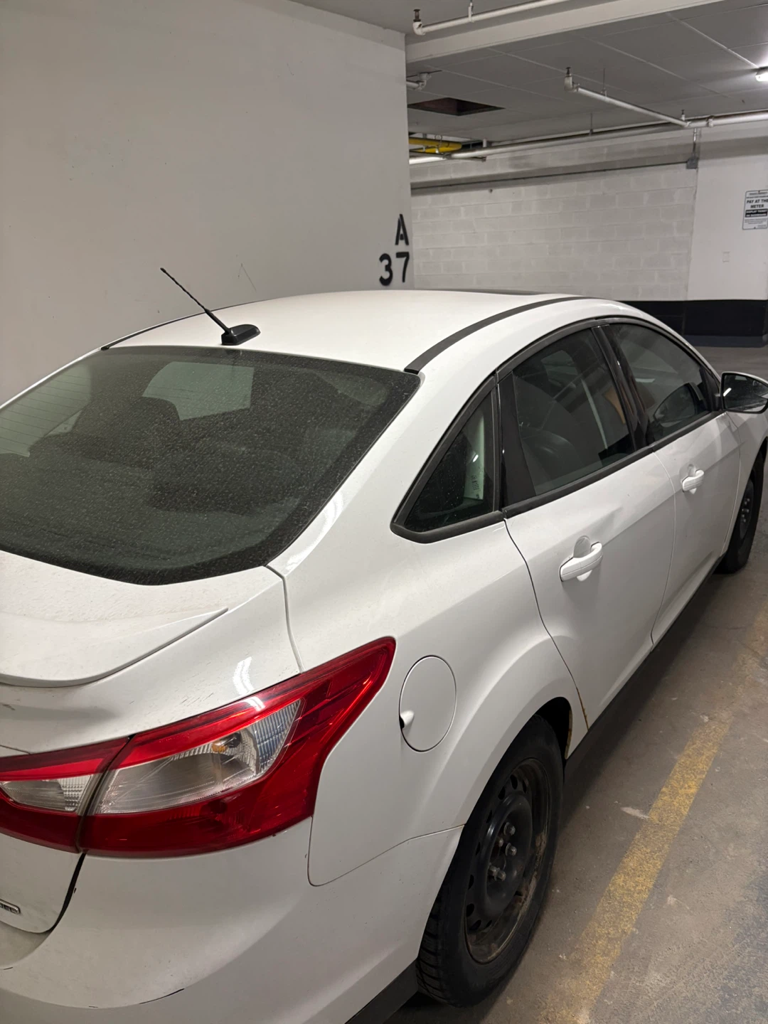 2013 White Ford Focus Sedan - photo 4