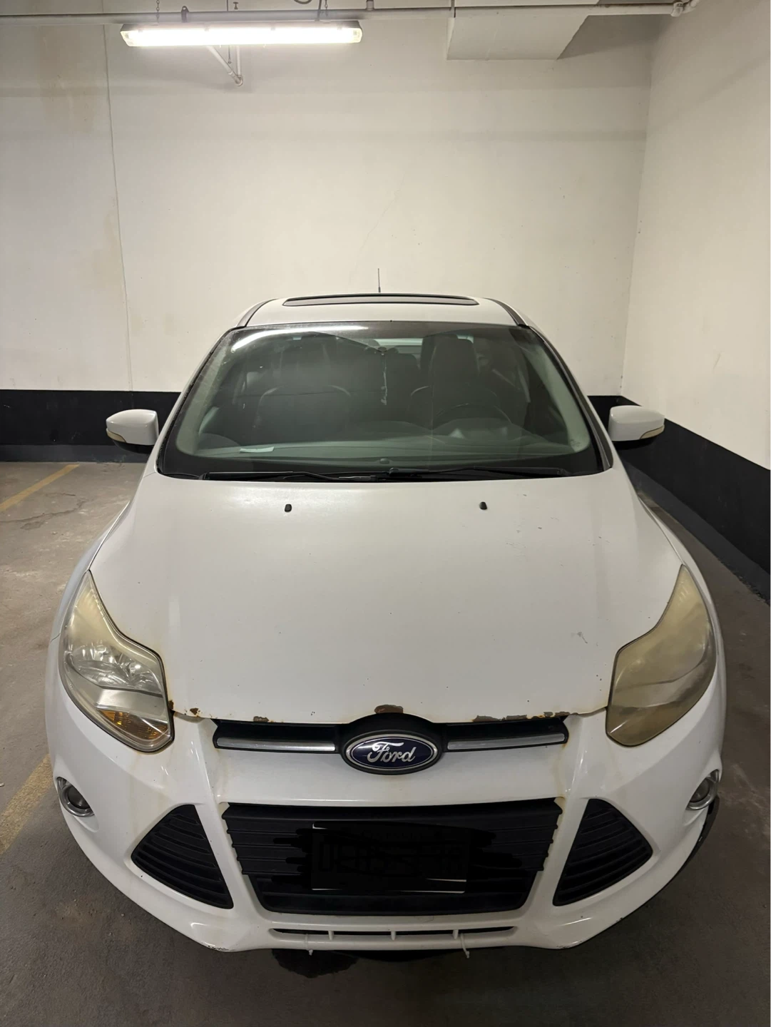 2013 White Ford Focus Sedan