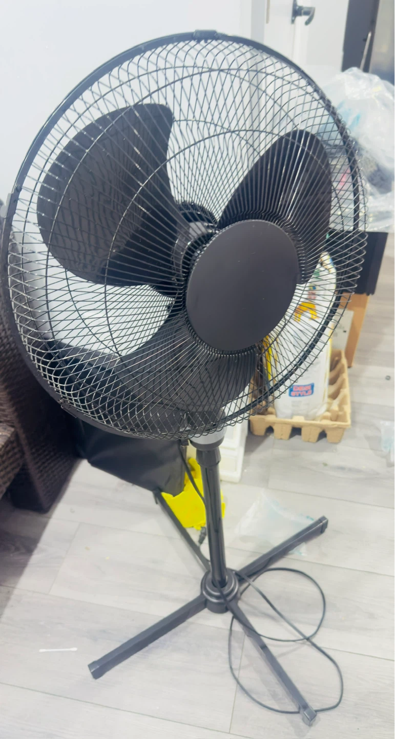 Black Oscillating Pedestal Fan