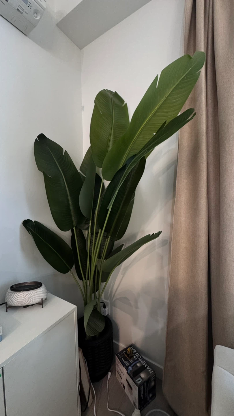 Artificial Bird of Paradise Plant