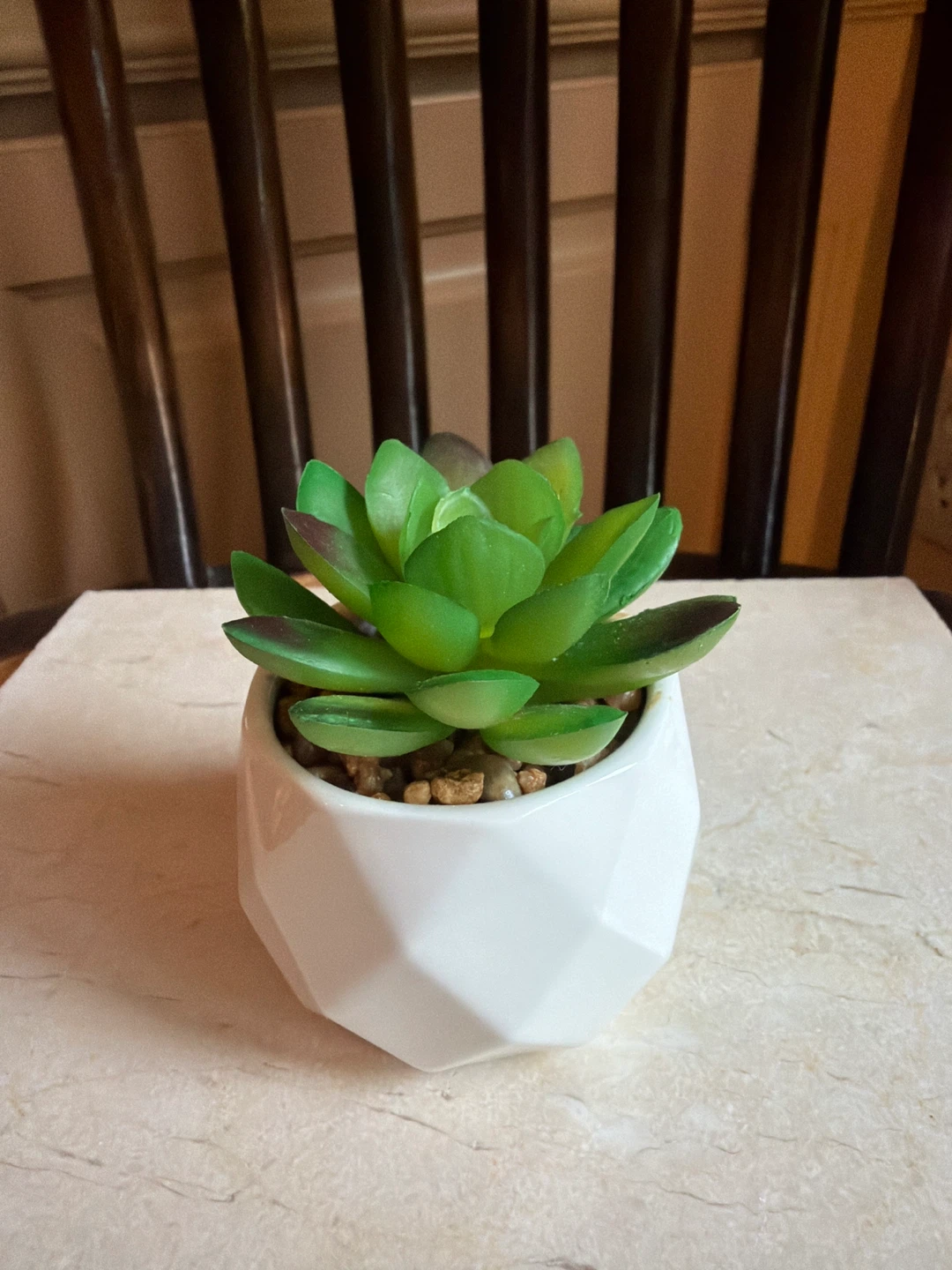 Artificial Succulent in Geometric Planter
