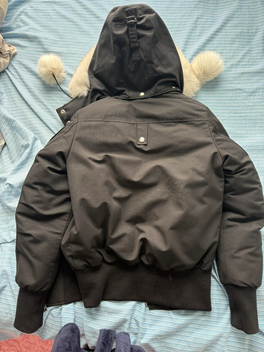 Moose Knuckles Down Filled Bomber Jacket - photo 5