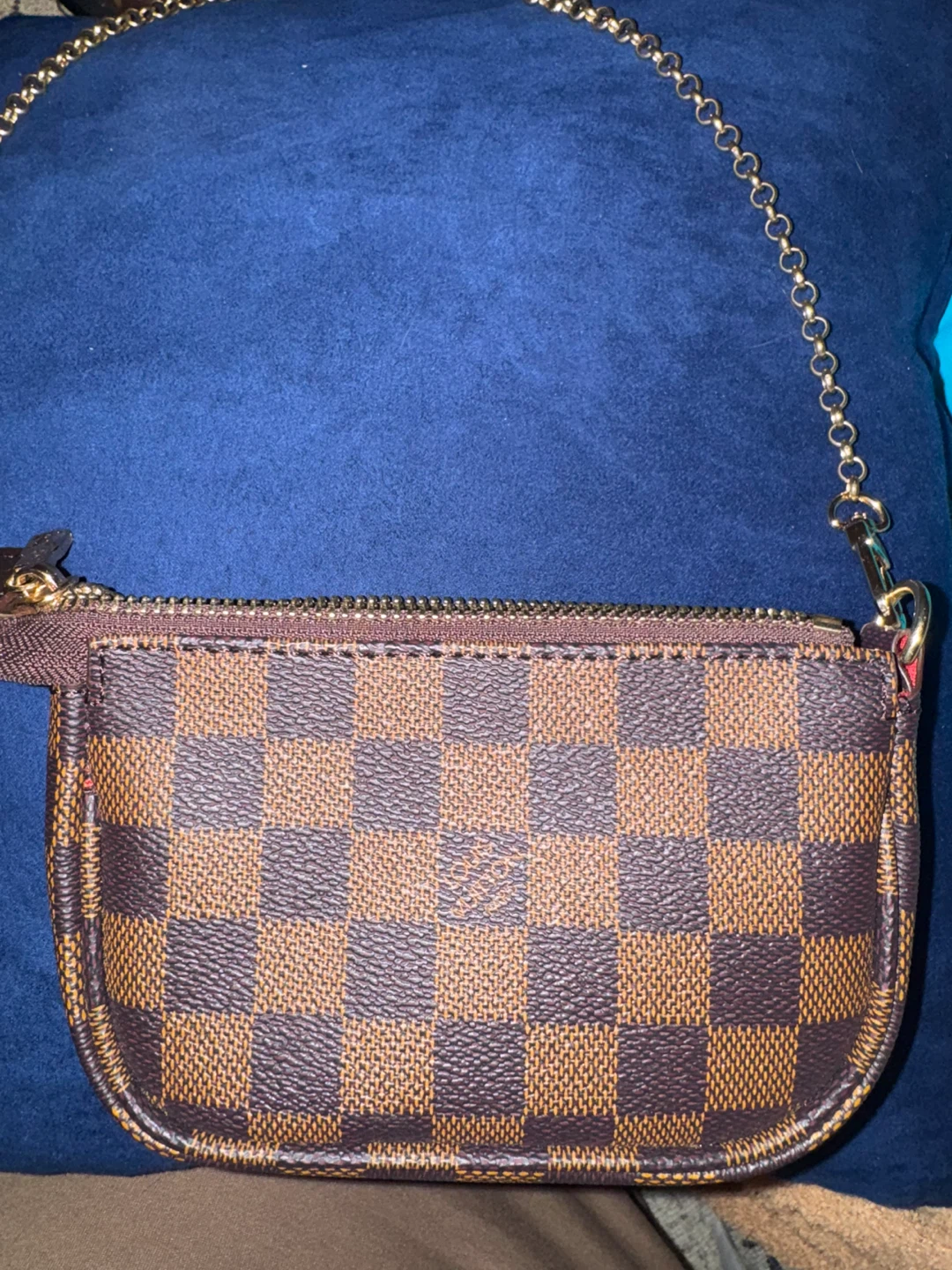 Louis Vuitton Speedy Pouch Damier Ebene Canvas