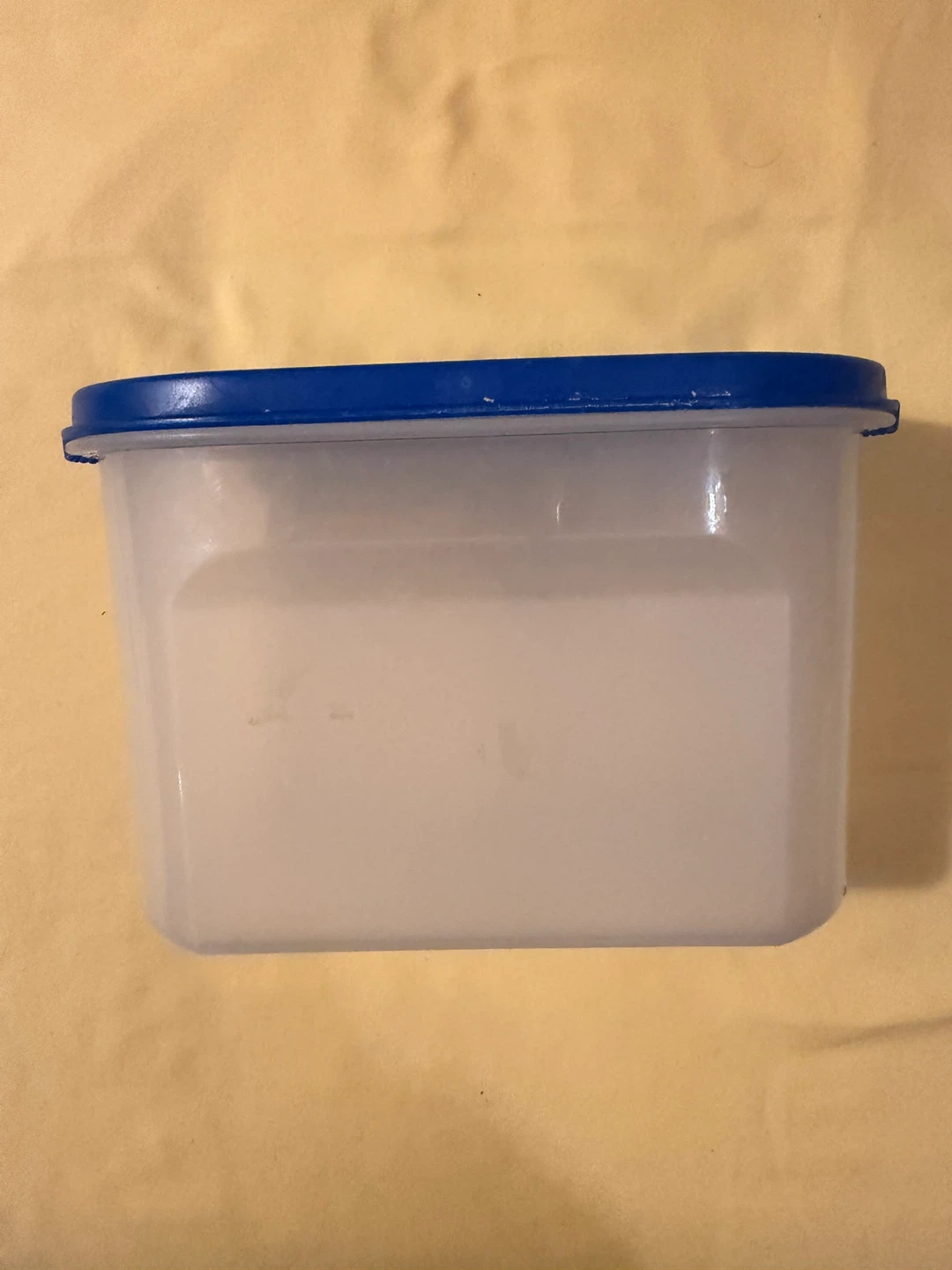 🌱 Plastic food storage container with blue lid