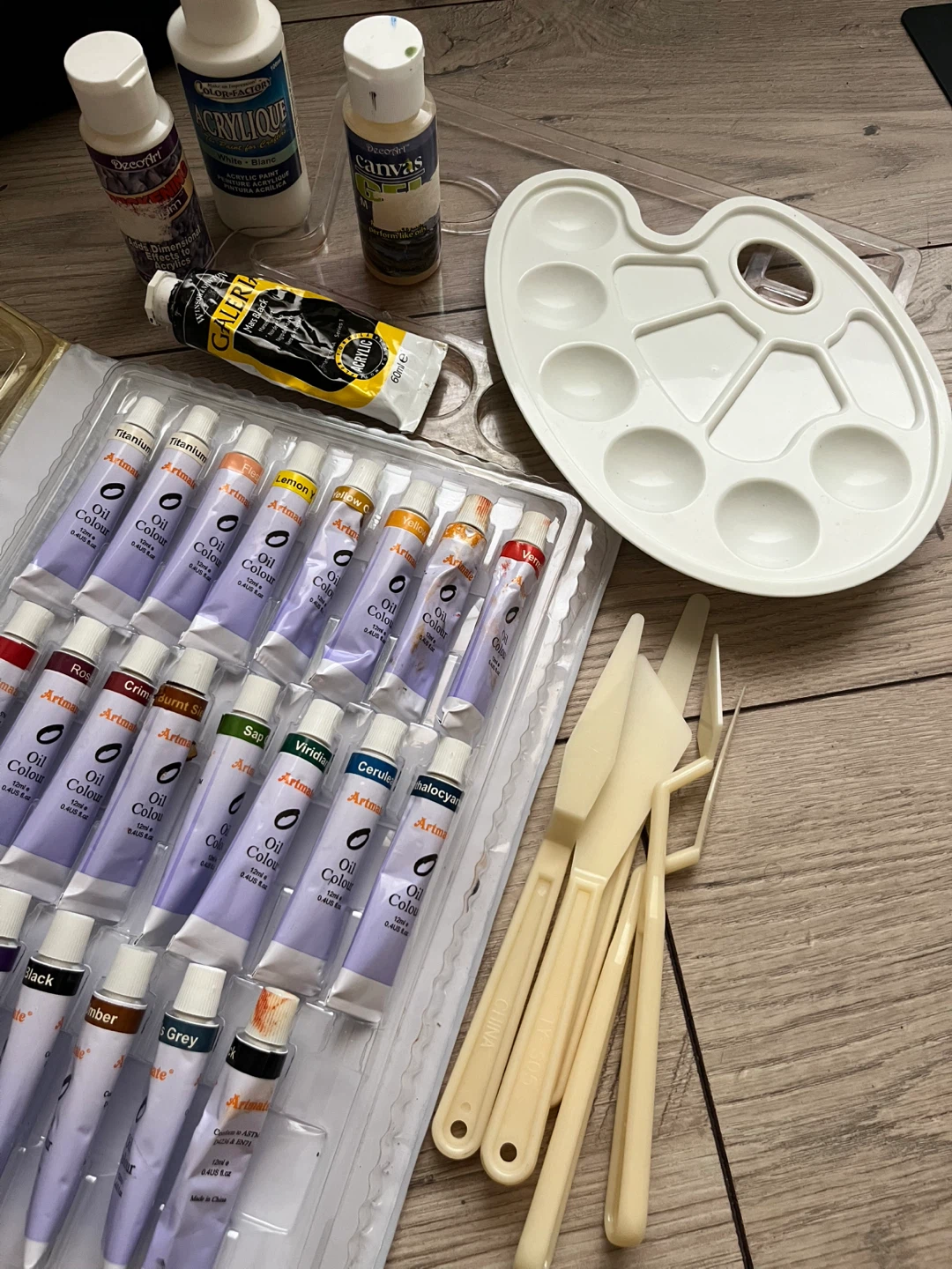 Art Set: Oil Paints, Acrylics & Tools - photo 3