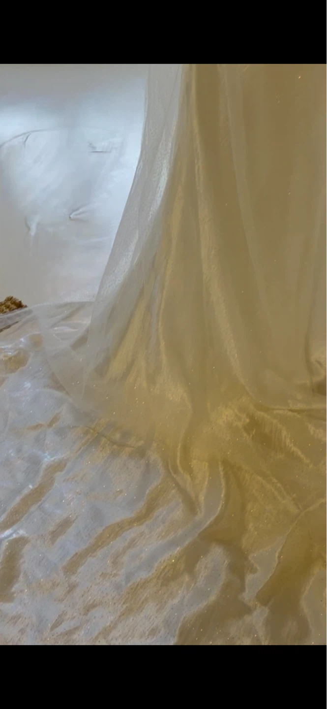 Grace Loves Lace Wedding Veil - photo 2