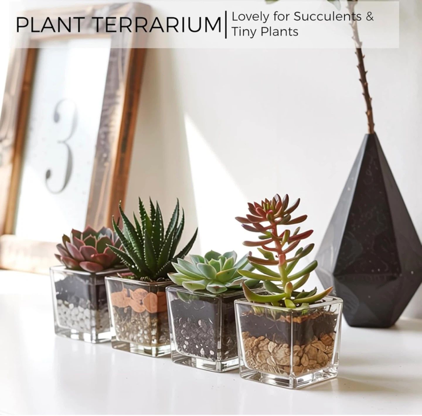12 Pack Square Glass Vase 3" x 3" x 3" - photo 2