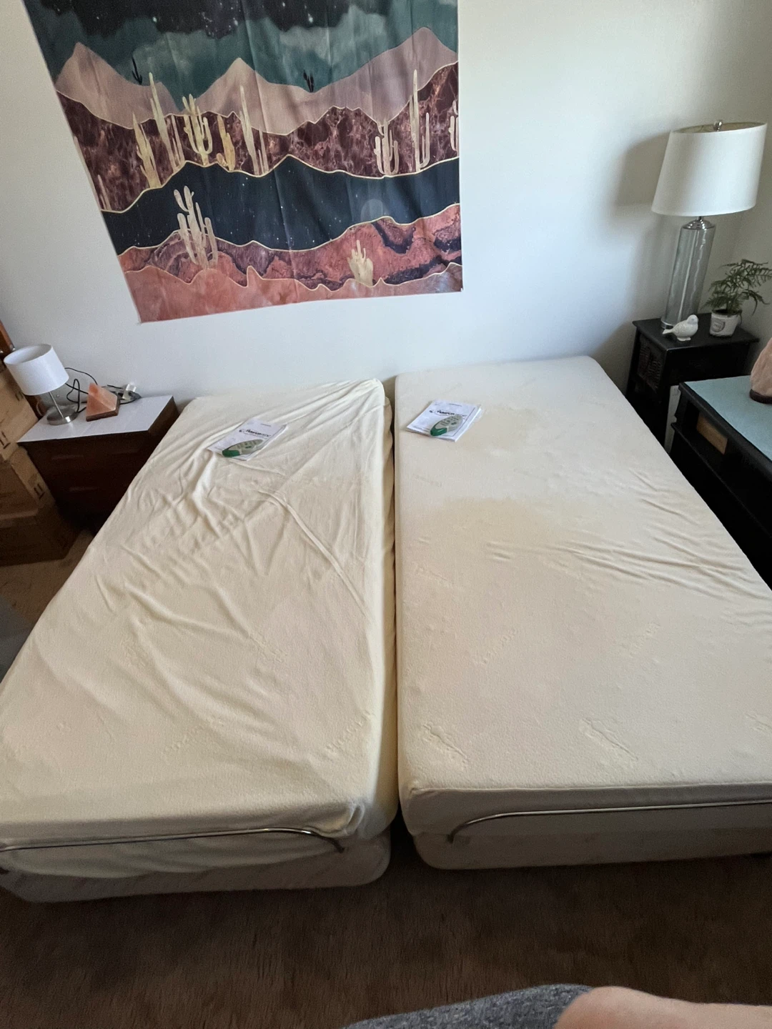 Tempur-Pedic Twin Beds