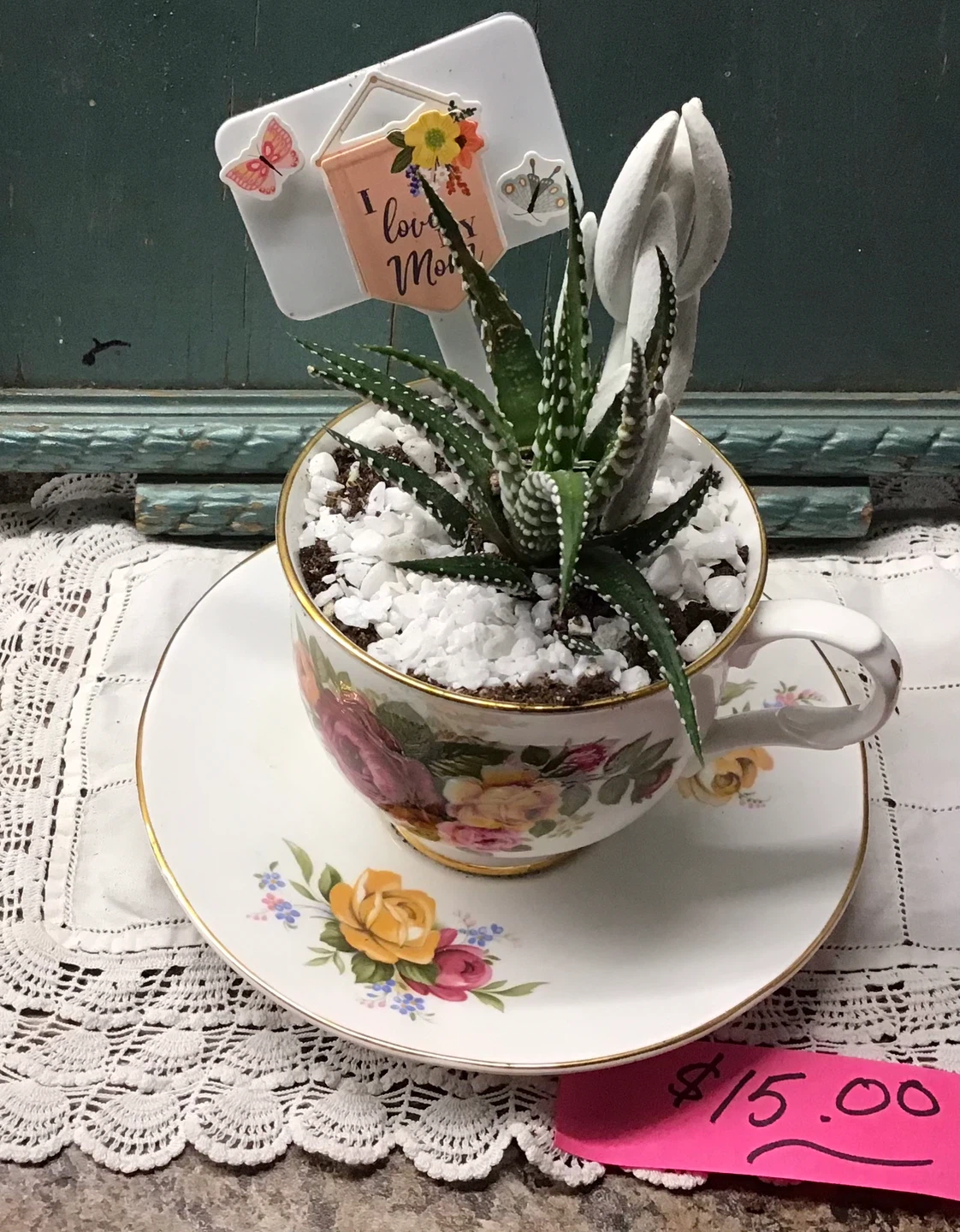 Mother’s Day gifts…Assorted Succulent Plant Collection - photo 5