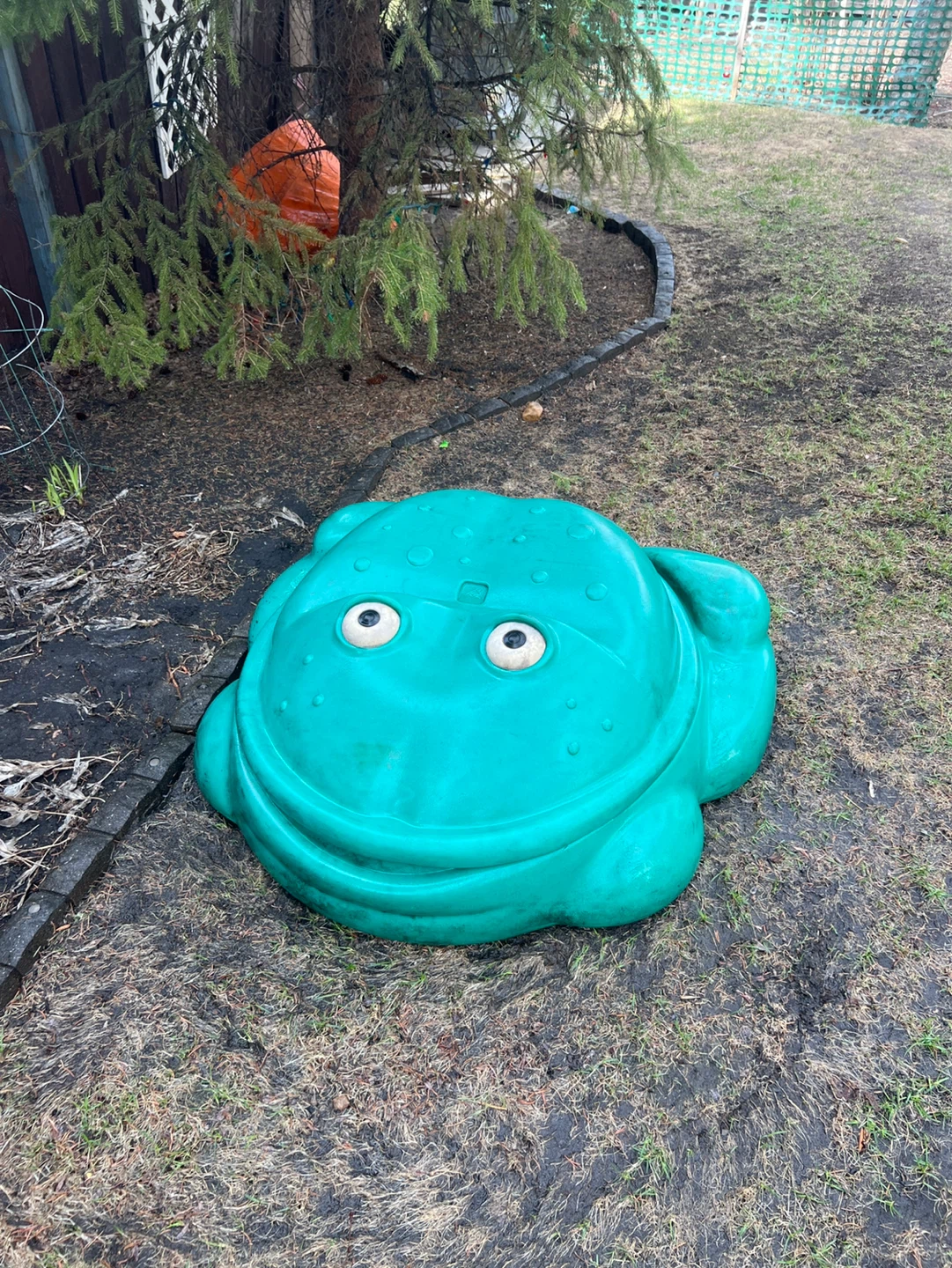 Teal Frog Water Play Toy