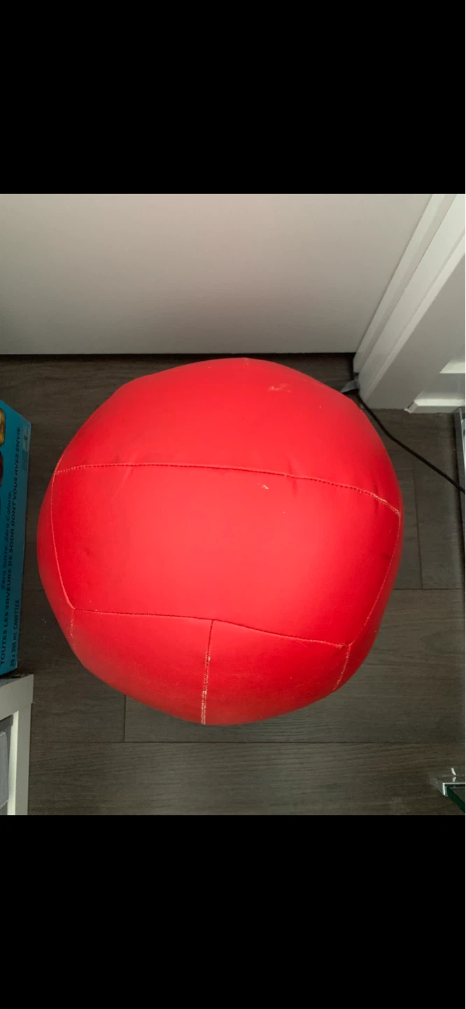Fitness Training Throw Ball-14lbs - photo 3