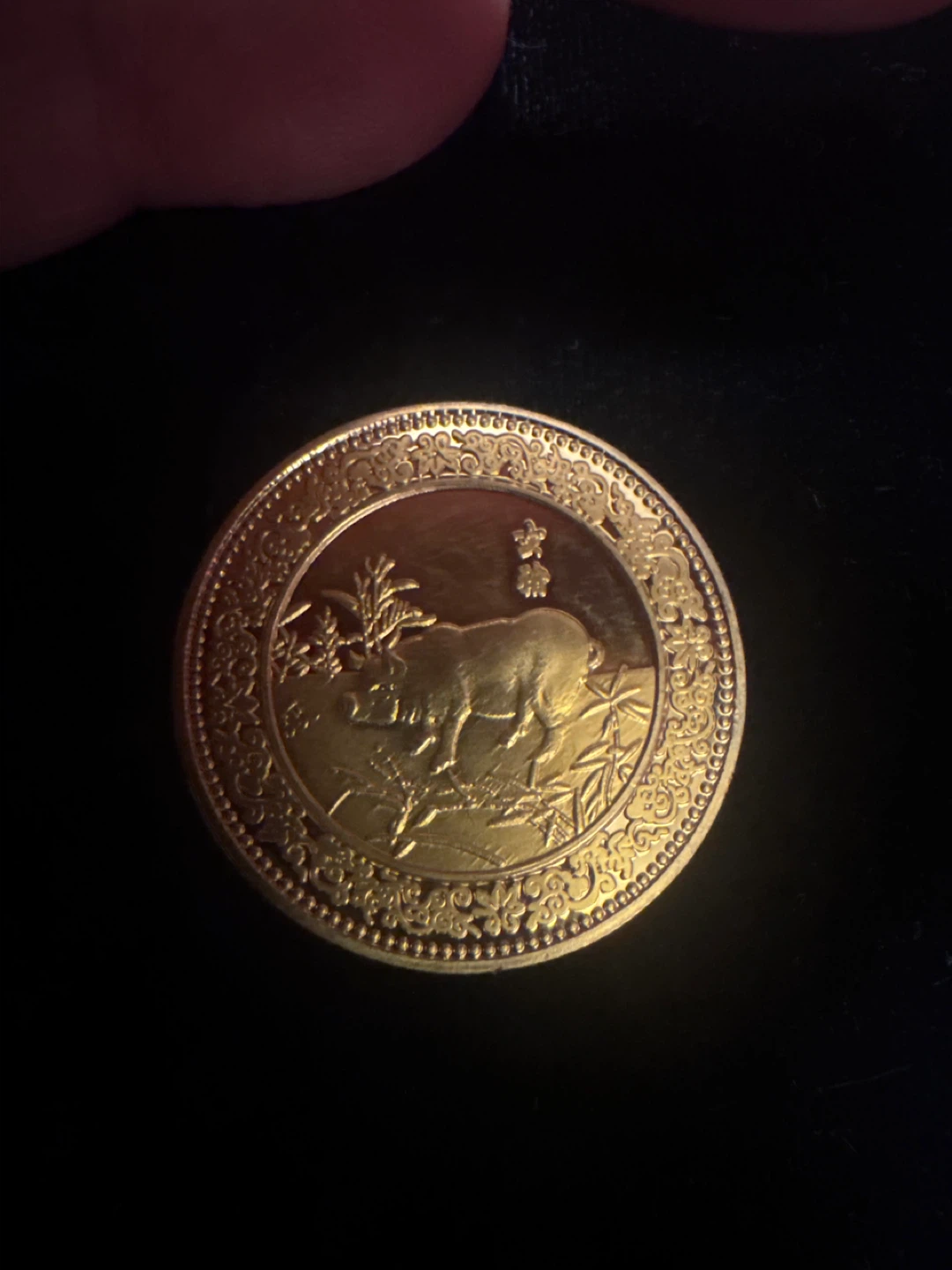 Gold Coin with Pig and Chinese Character
