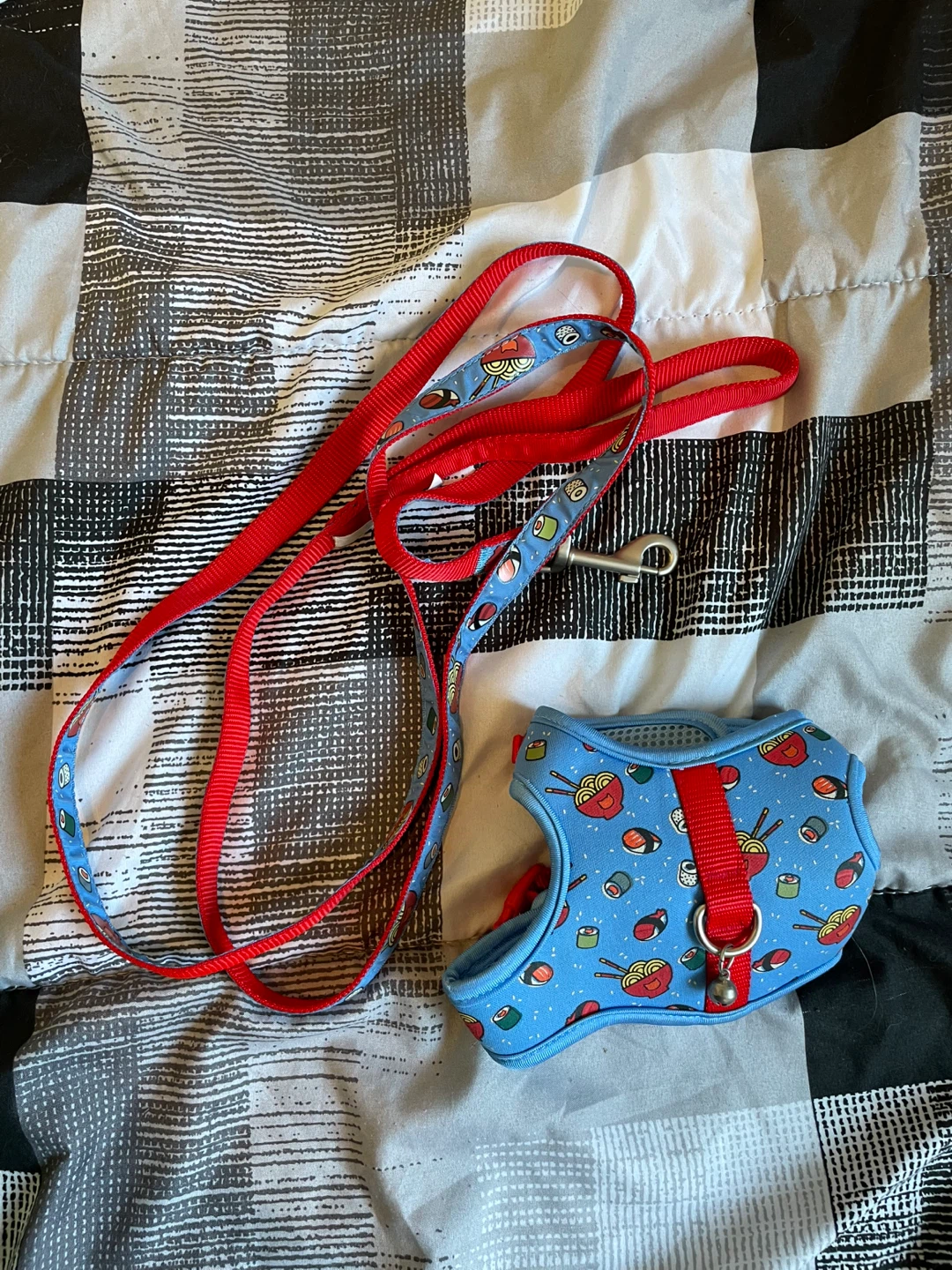 Kitten Harness & Leash Brand New