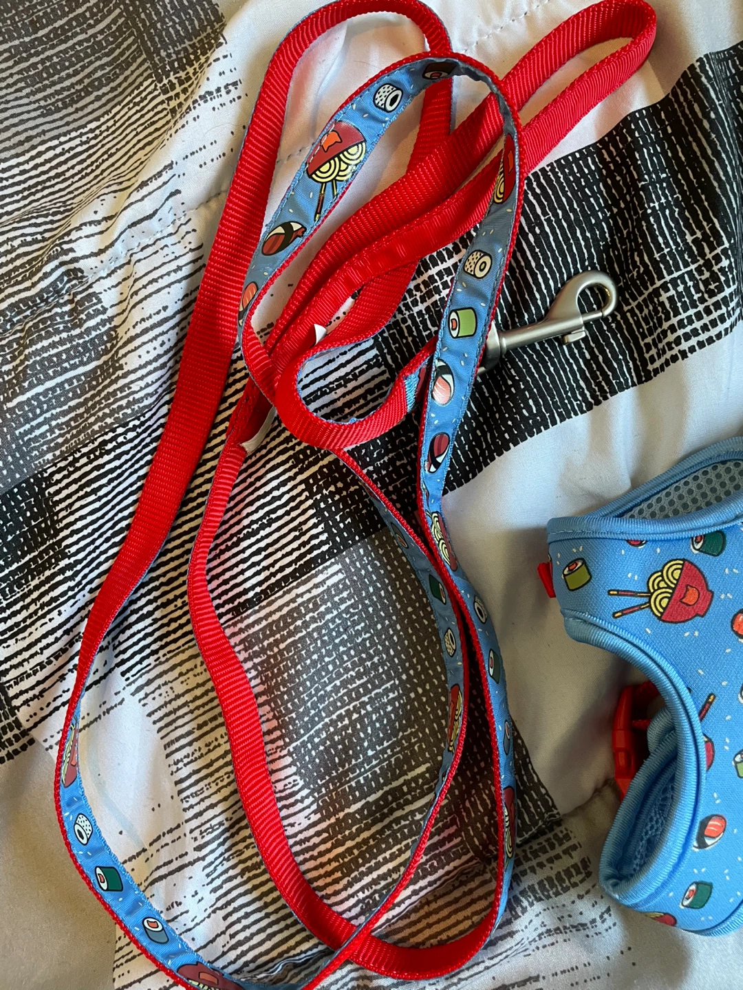 Kitten Harness & Leash Brand New - photo 3