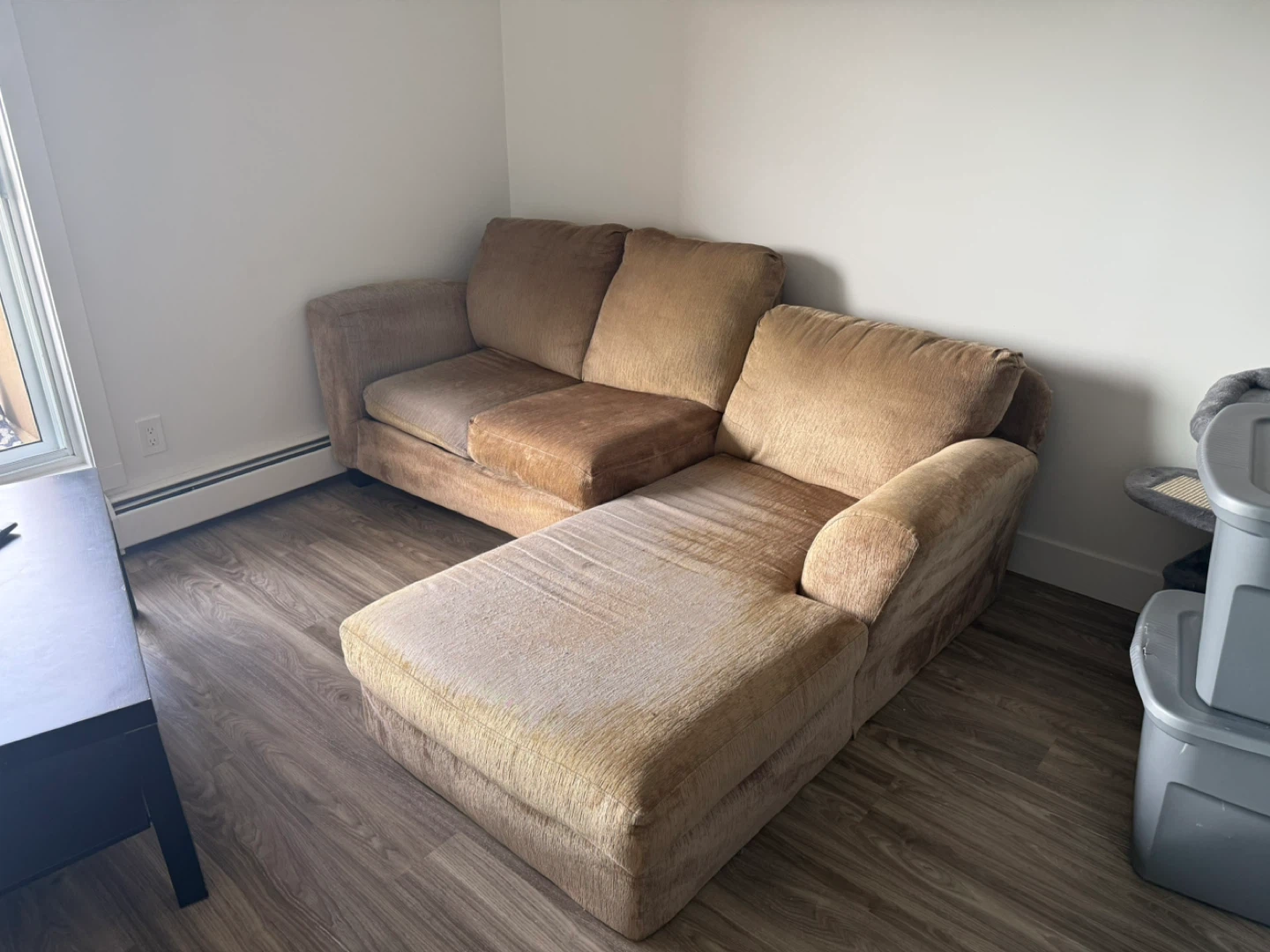 Sectional Couch