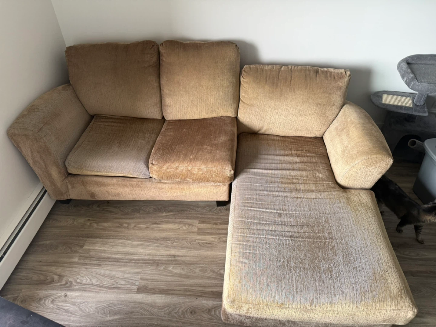 Sectional Couch - photo 2