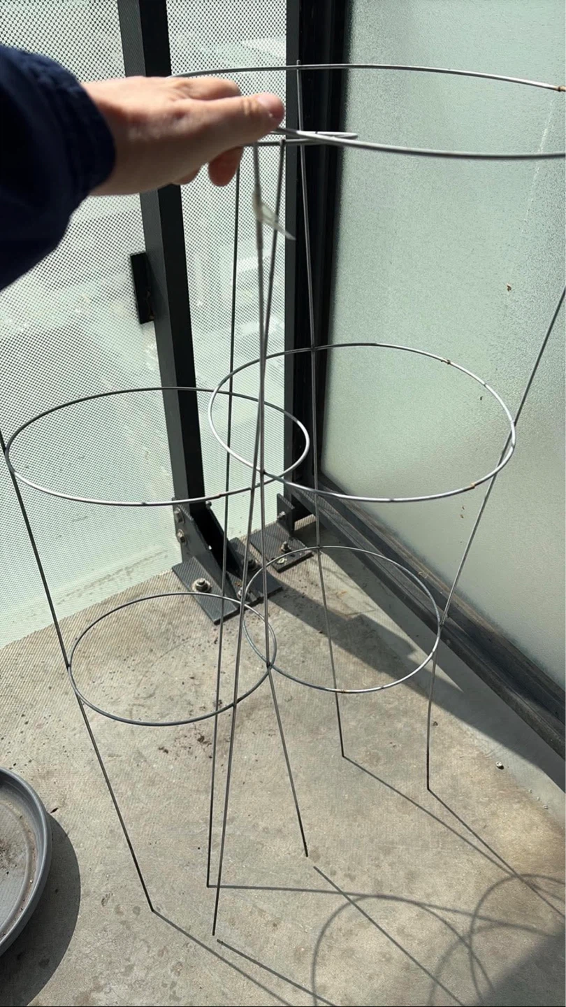 Free Tomato Cages/ Vegetable Cages