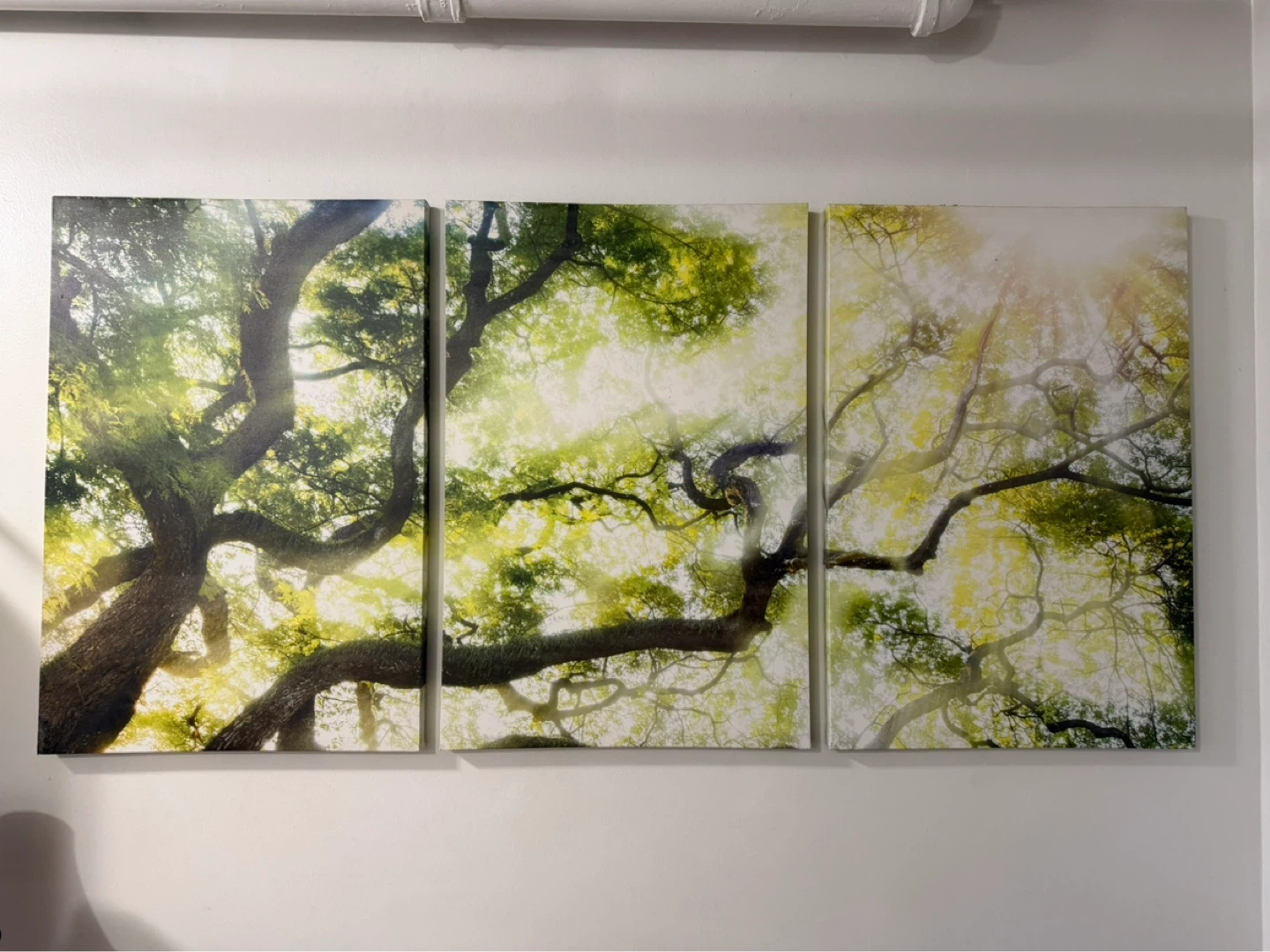 Triptych Tree Canopy Wall Art