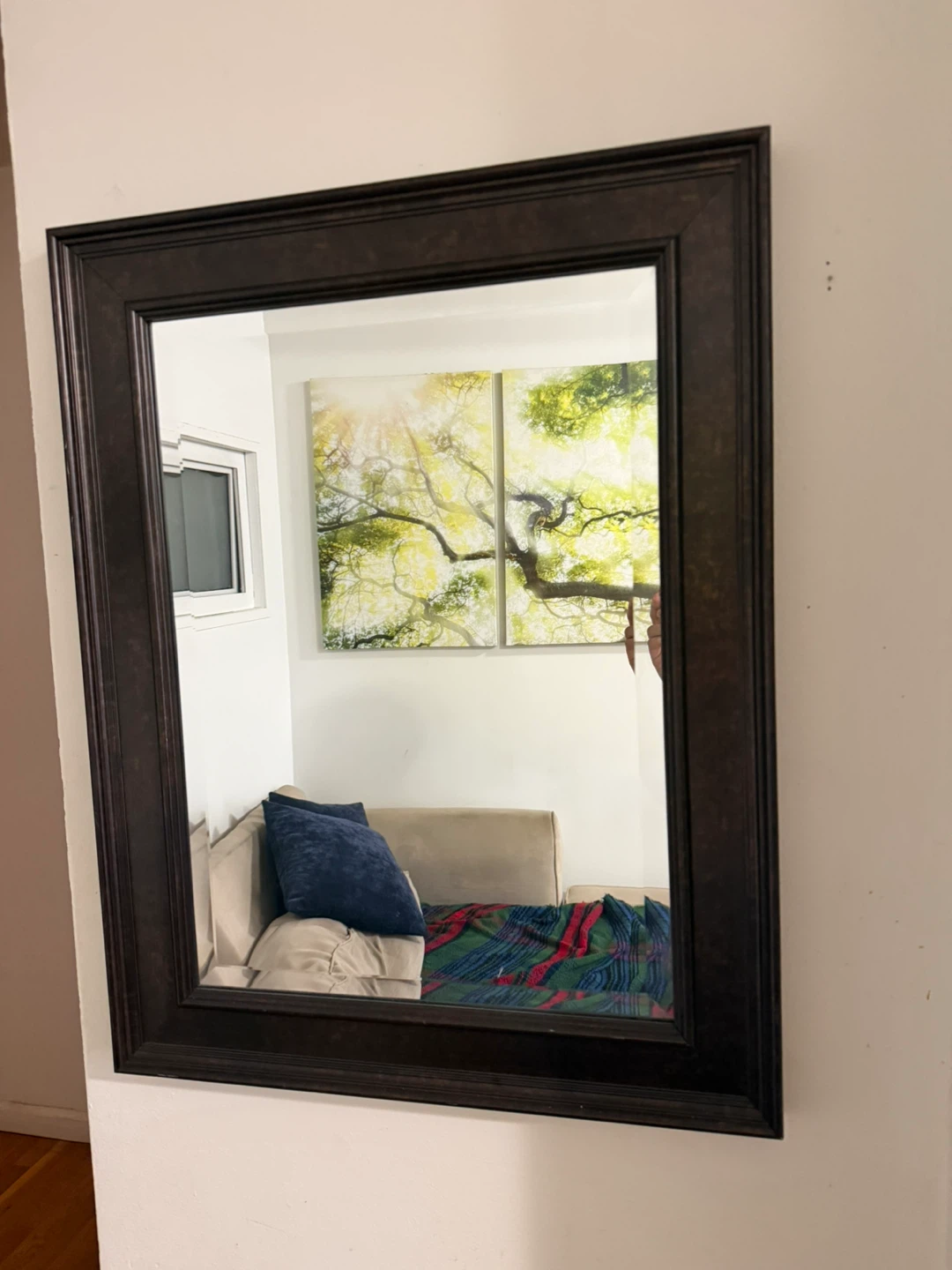 Dark Wood Framed Mirror
