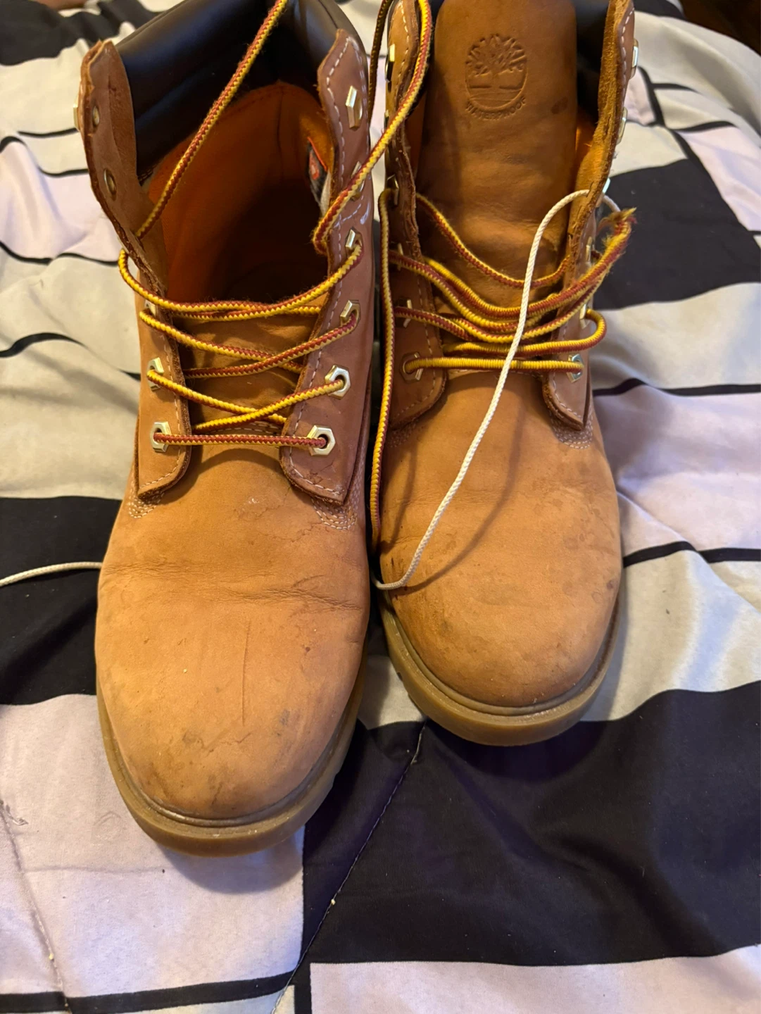 Timberland Classic Boots