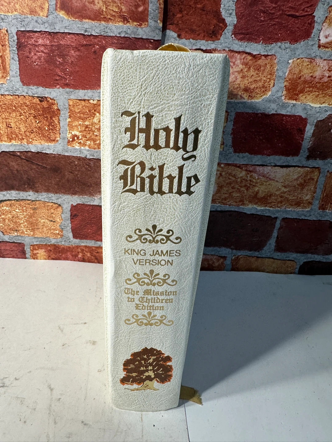 Holy Bible King James Version - The Mission to Children Edition - photo 2