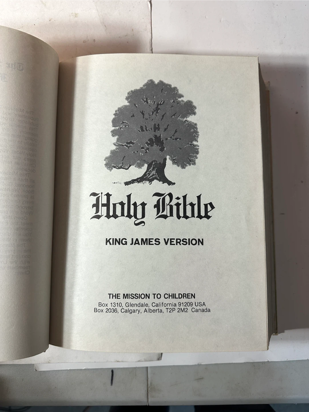 Holy Bible King James Version - The Mission to Children Edition - photo 3