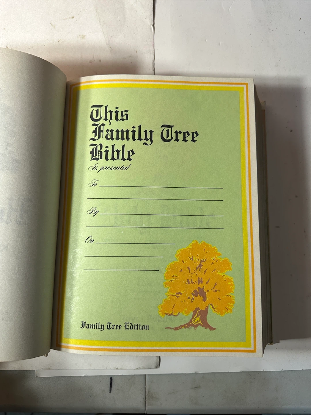 Holy Bible King James Version - The Mission to Children Edition - photo 4